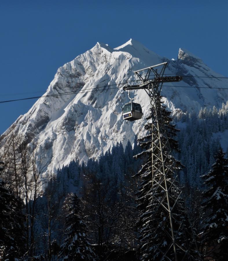 Laubrinus Apartment Adelboden Exterior photo