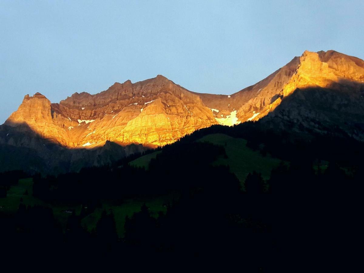 Laubrinus Apartment Adelboden Exterior photo